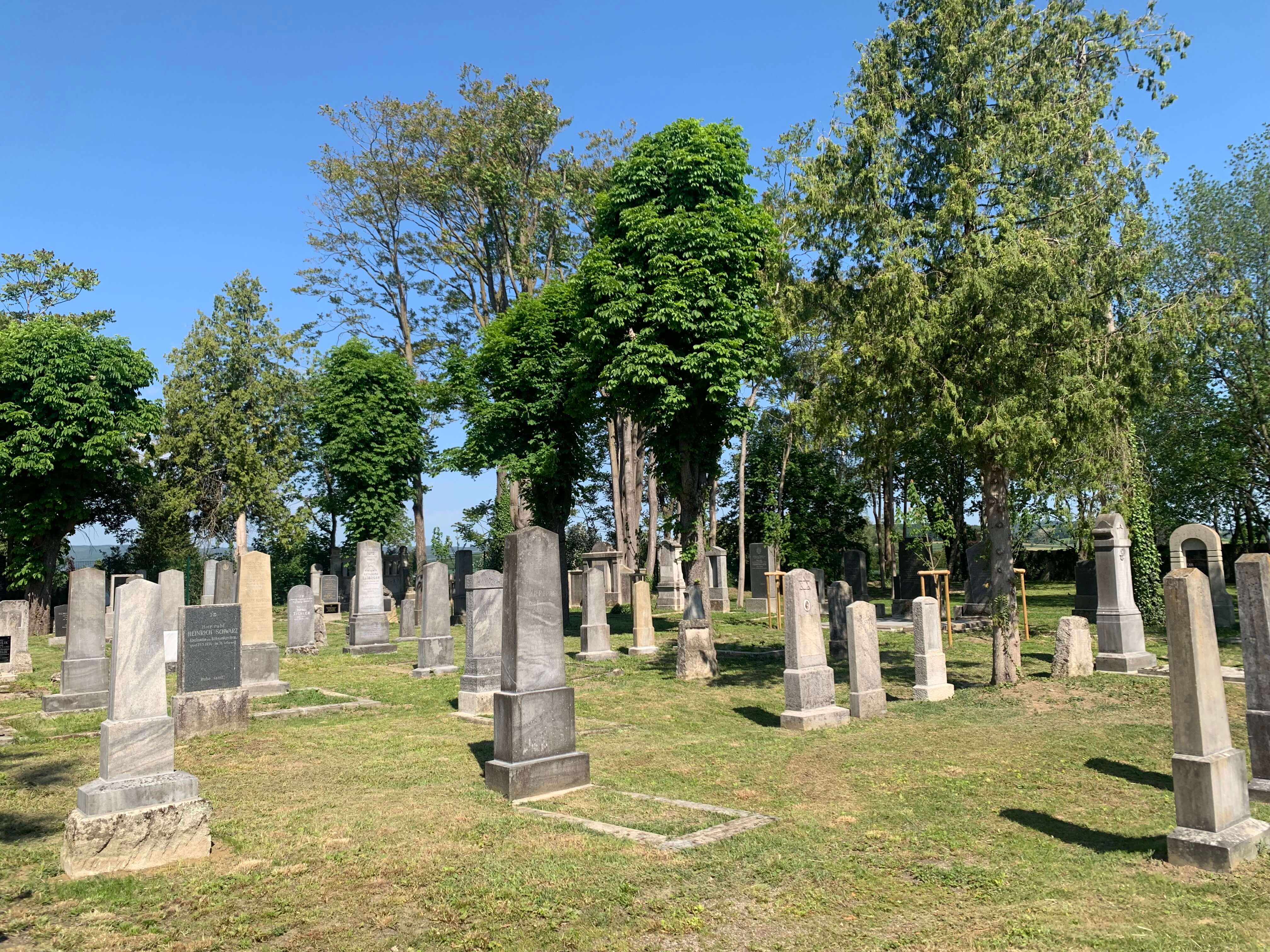 Juedischer friedhof st poelten instandgesetzt 5