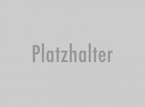Produkt galerie platzhalter 300x222