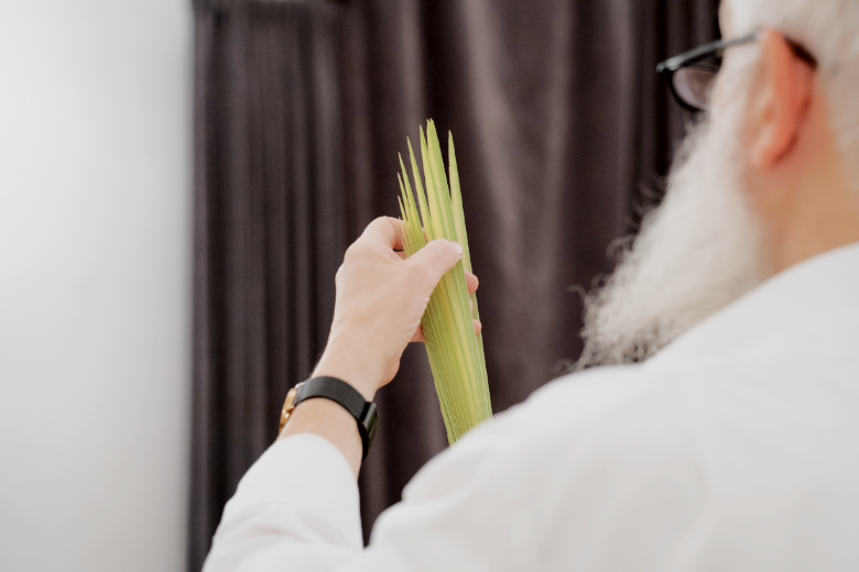 2024 04 ikg rabbinat arba minim 5 beitragsbild website