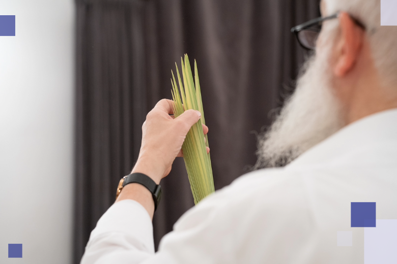 2025 09 28 arba minim 5 beitragsbild website