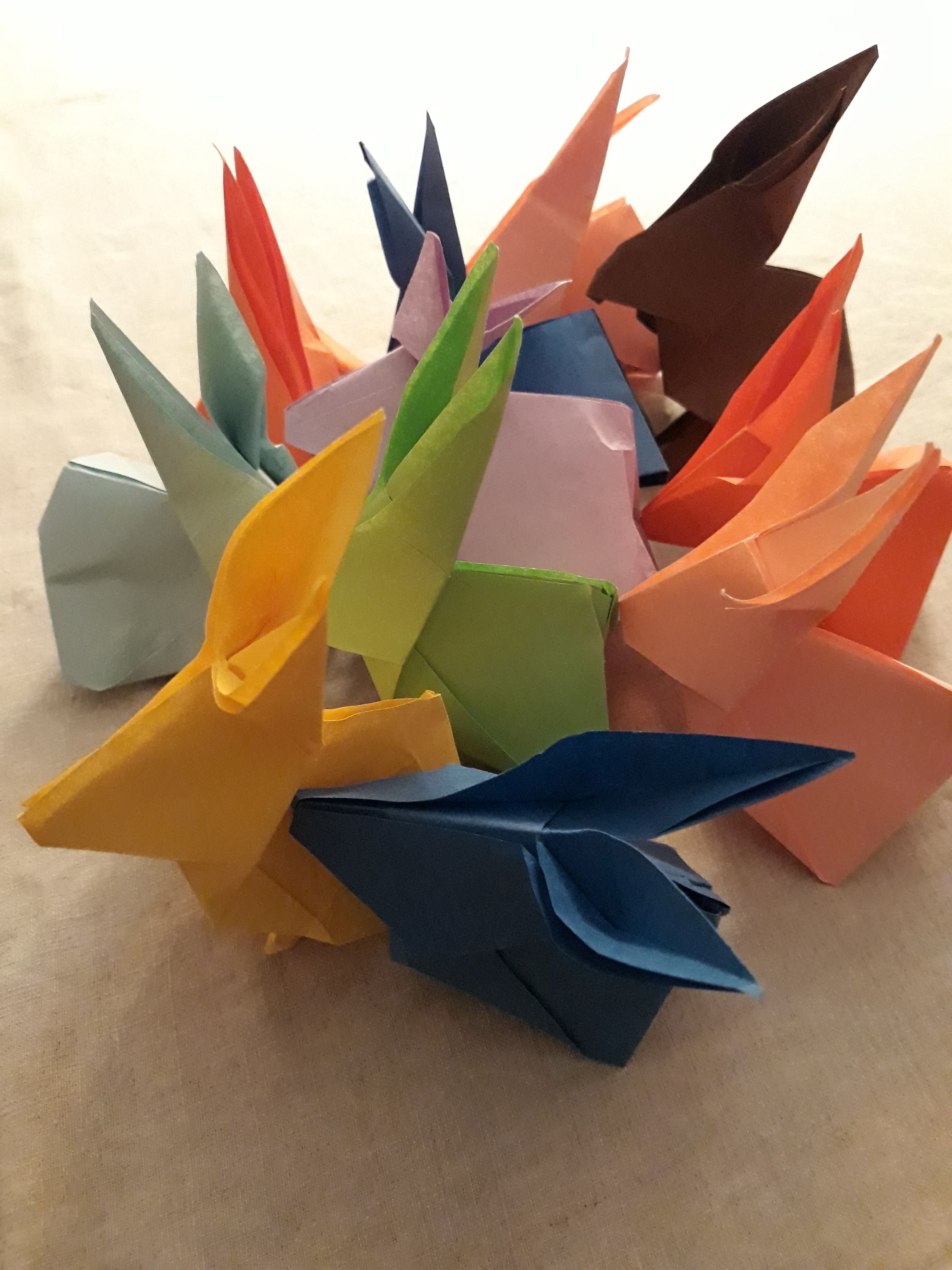 Hase ahoi sommer2023