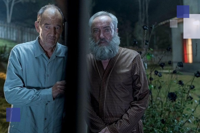 My neighbor adolf 14 beitragsbild website